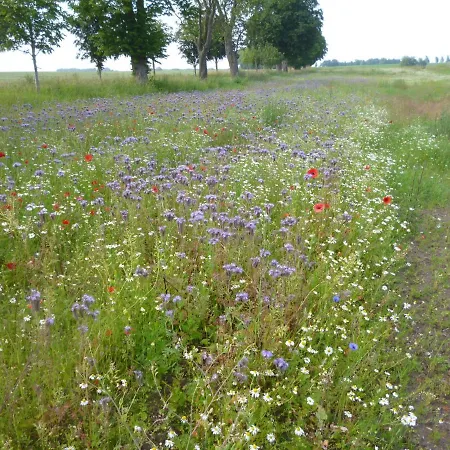 Prázdninový dům Ostsee-wellnesslandhaus Mit Sauna, Jacuzzi, Innenwhirlpool